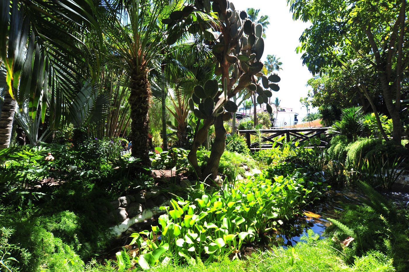 Parque-Tropical-General-view-24