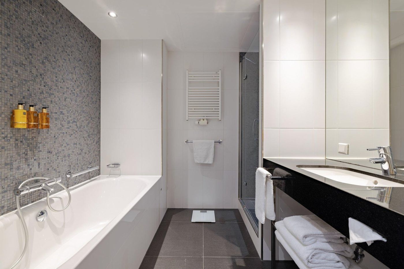 Crowne-Plaza-Amsterdam-South-Room-49