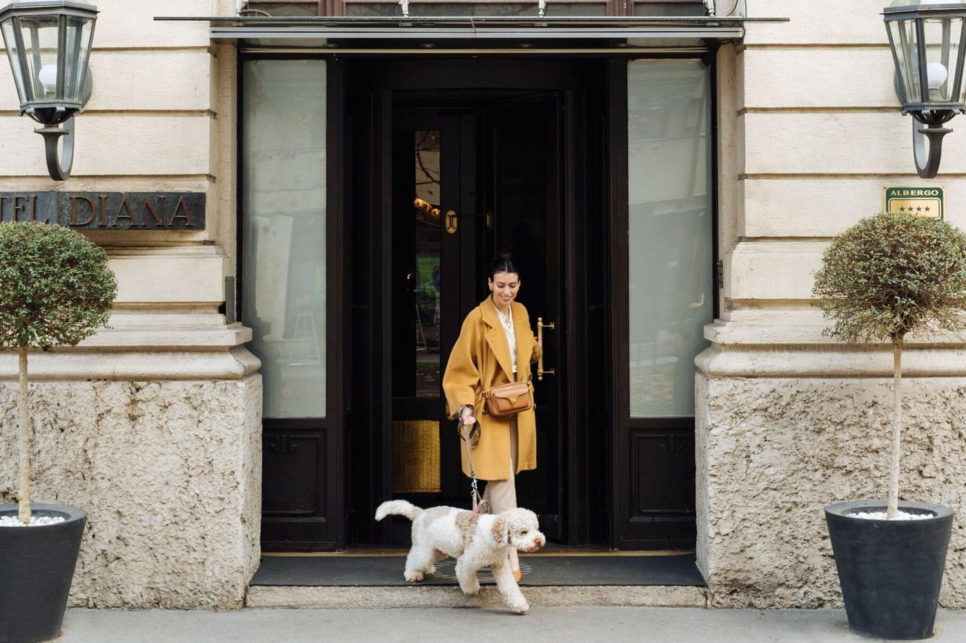 Sheraton-Diana-Majestic-General-view-77