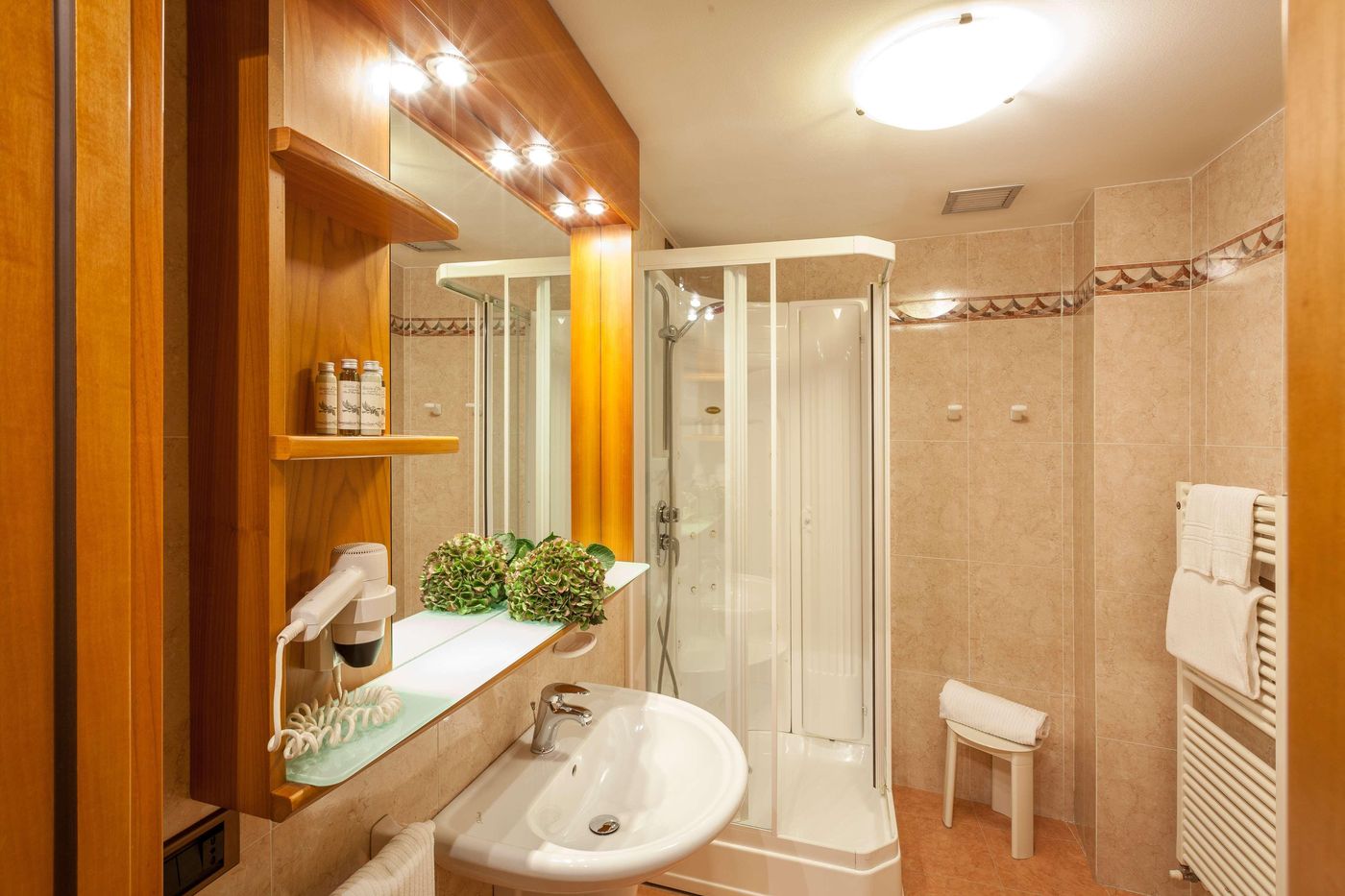 Best-Western-Hotel-Canon-d-Oro-General-view-46