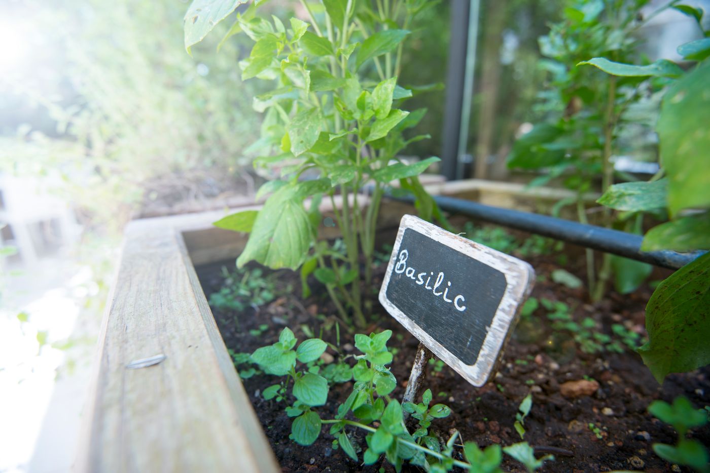 Novotel Athenes - Greece - ATHENS - General view - 8