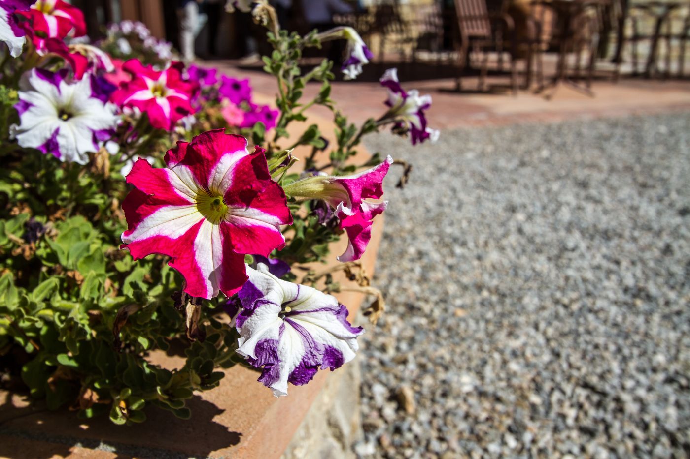 Relais-Villa-Olmo-Food-and-Wine-Resort-Restaurant-49