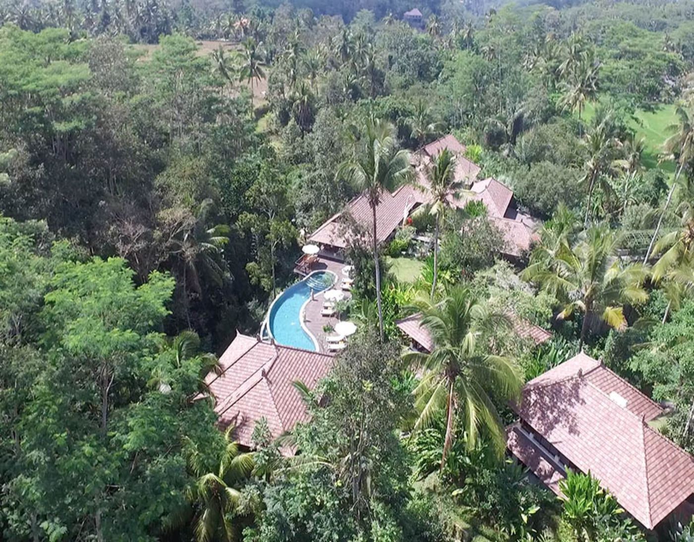 BeingSattvaa Luxury Ubud-Indonesia-Bali-General view-3