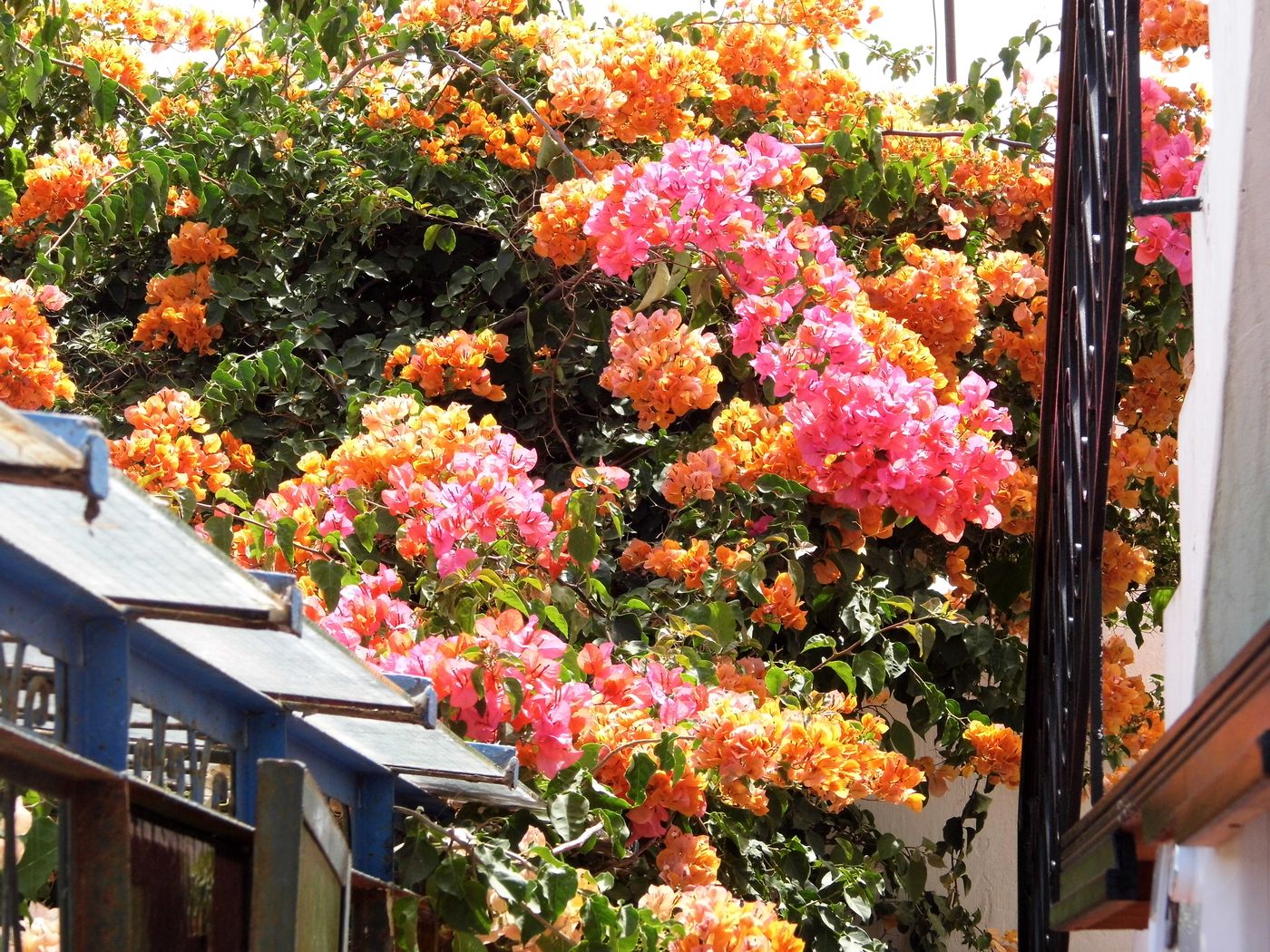 Marlinea-Morocco-SALE-General view-8