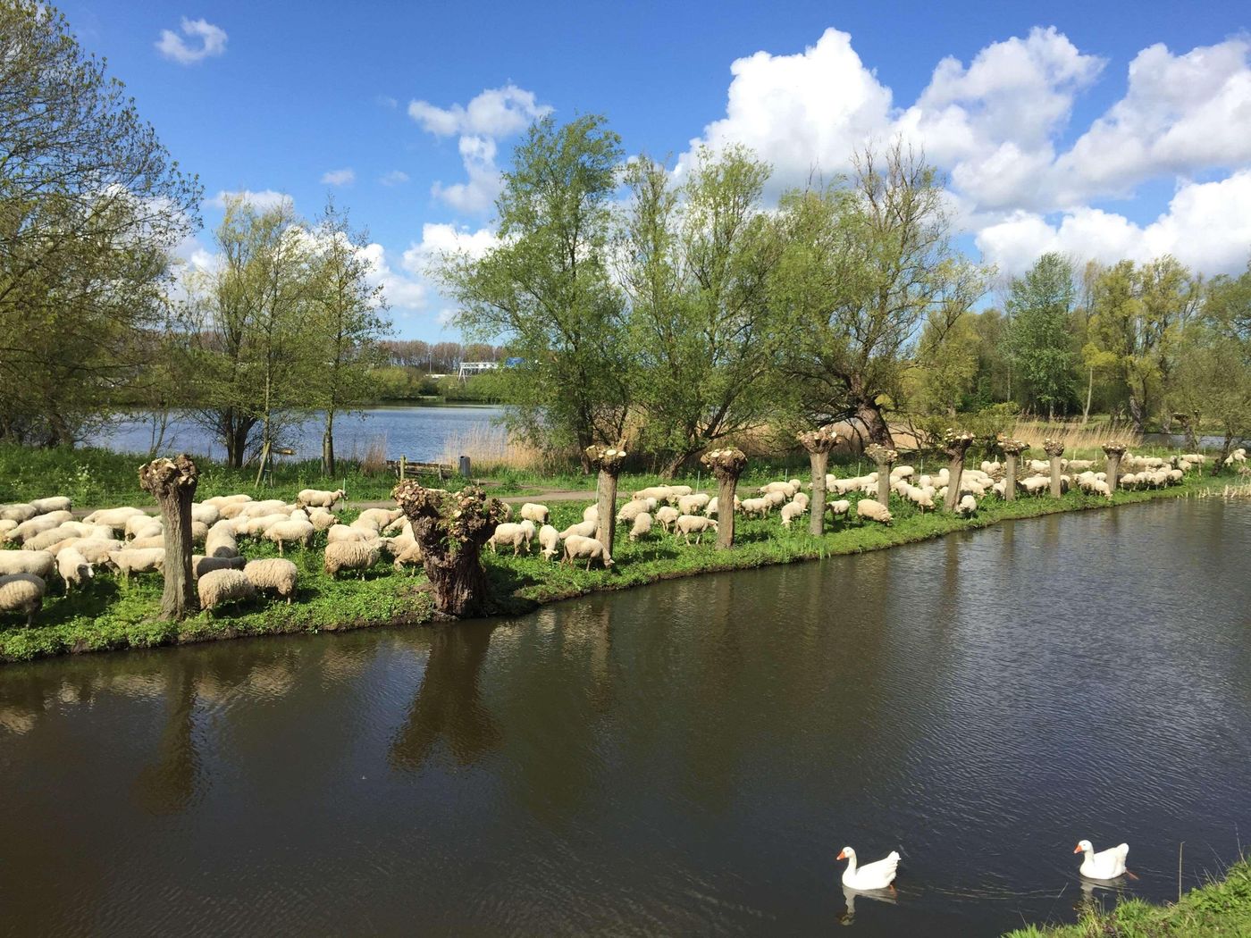 Amrath Airport Hotel Rotterdam, BW Signature Colle-Netherlands-Rotterdam-General view-4