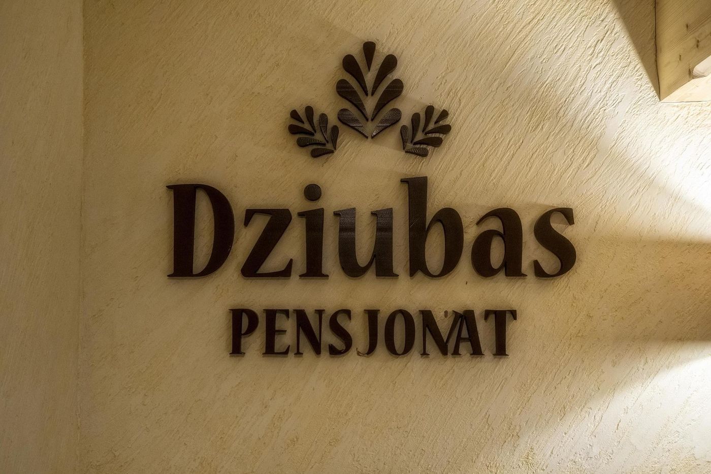 Pensjonat Dziubas-Poland-BUKOWINA TATRZANSKA-Lobby-9