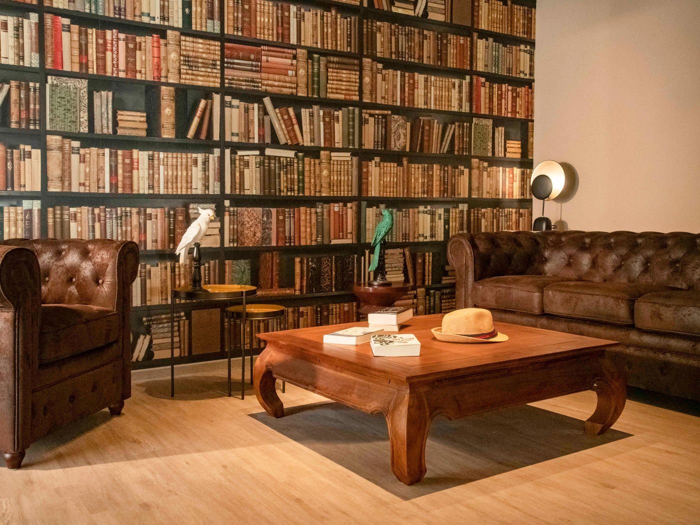 ibis-Styles-Beaulieu-sur-Mer-General-view-47