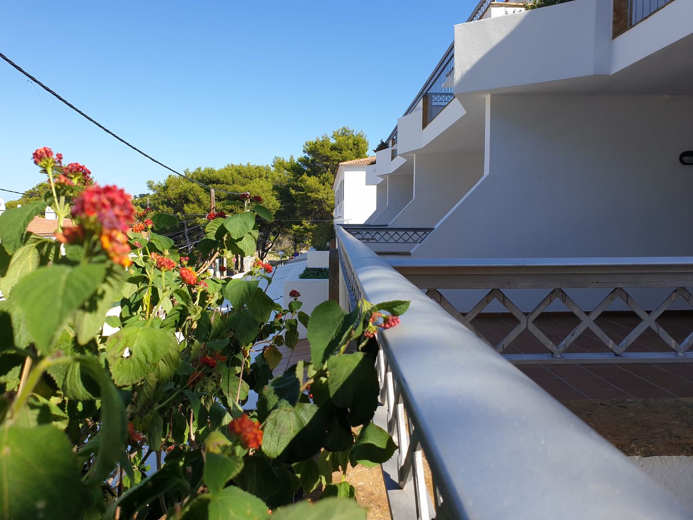 Piscis-General-view-6