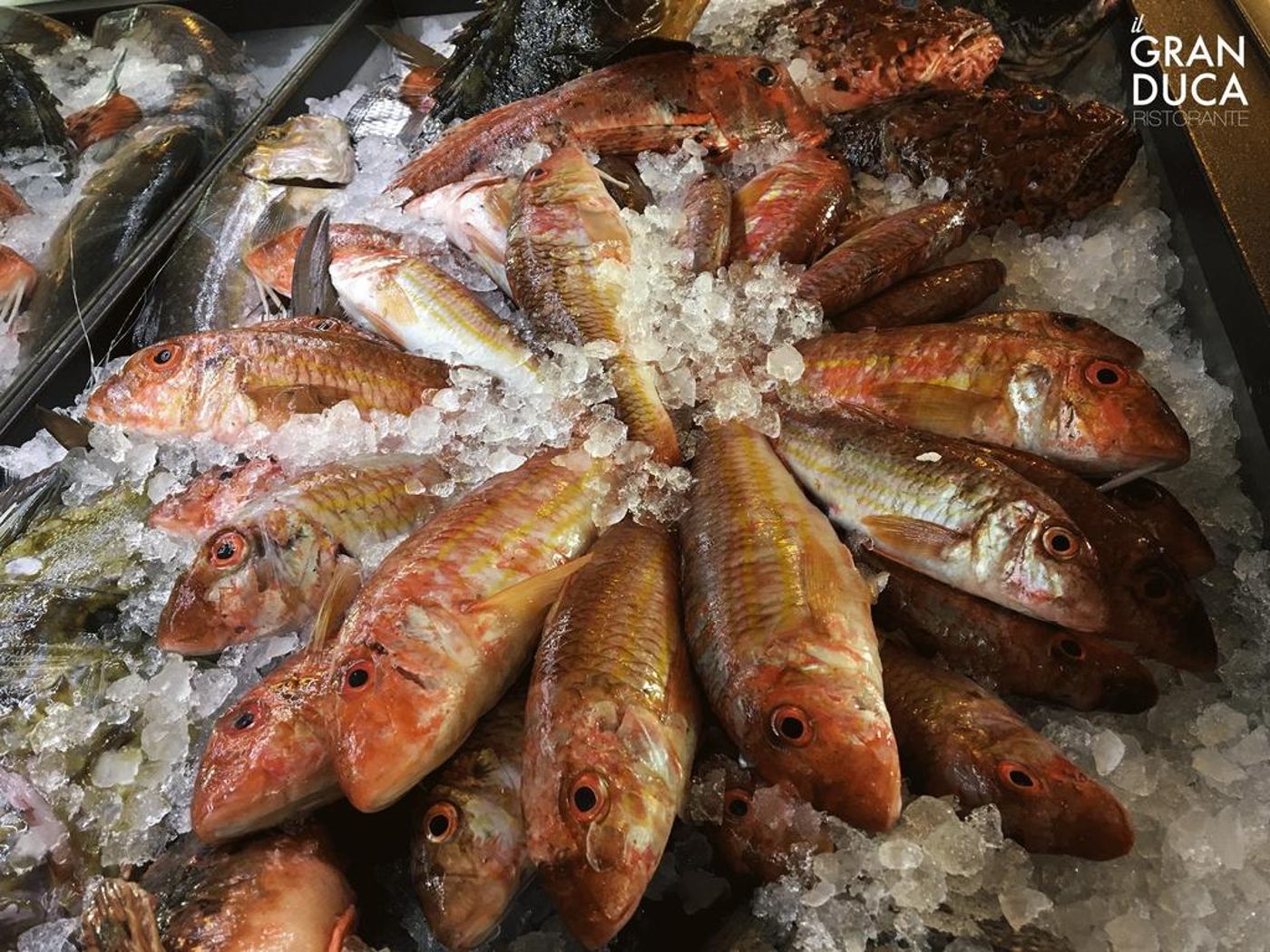 Hotel-Granduca-Restaurant-25