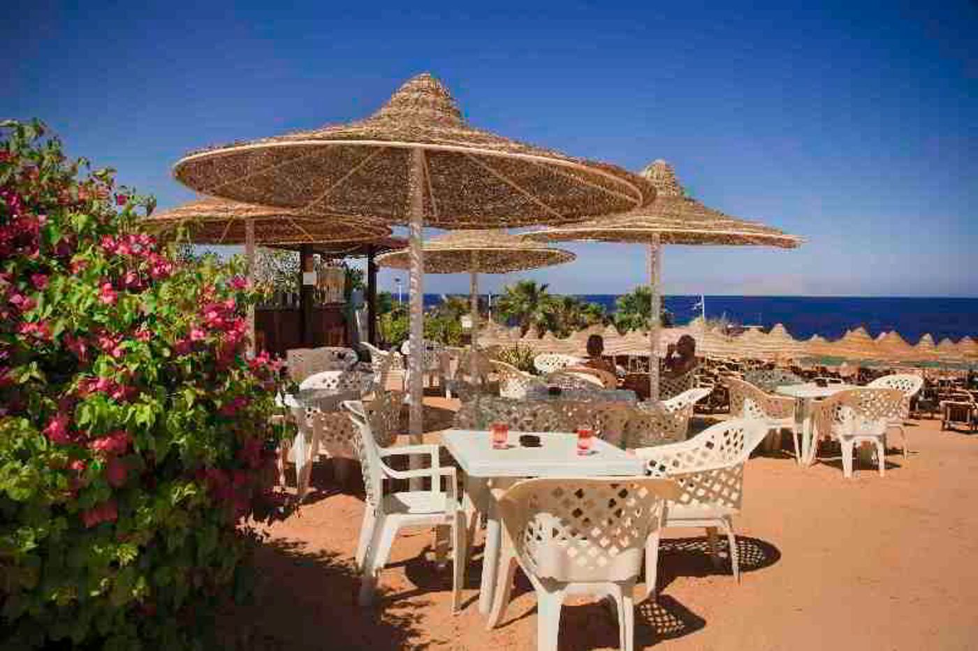 Xperience-St--Georges-Homestay-Bar-41