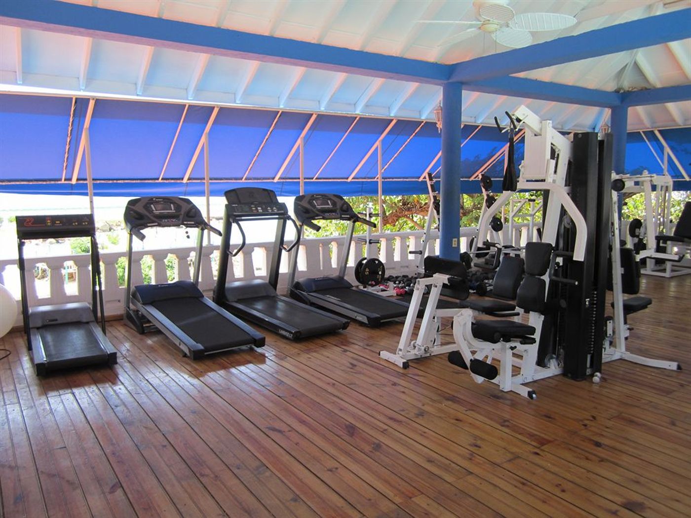 Hotel Franklyn D Resort