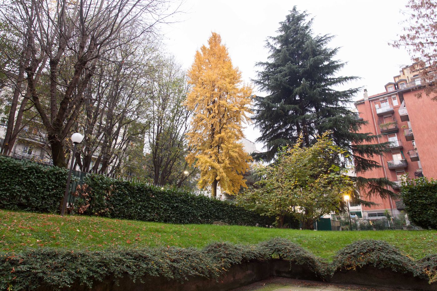 iH ApartHotel Milano Argonne Park - Italy - MILANO - General view - 1