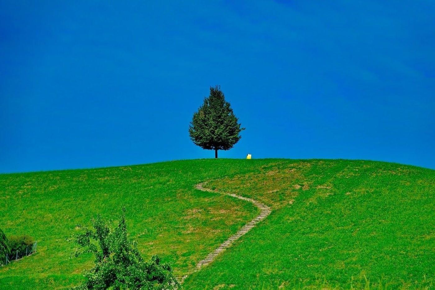 Hotel Friedheim-Switzerland-WEGGIS-General view-5