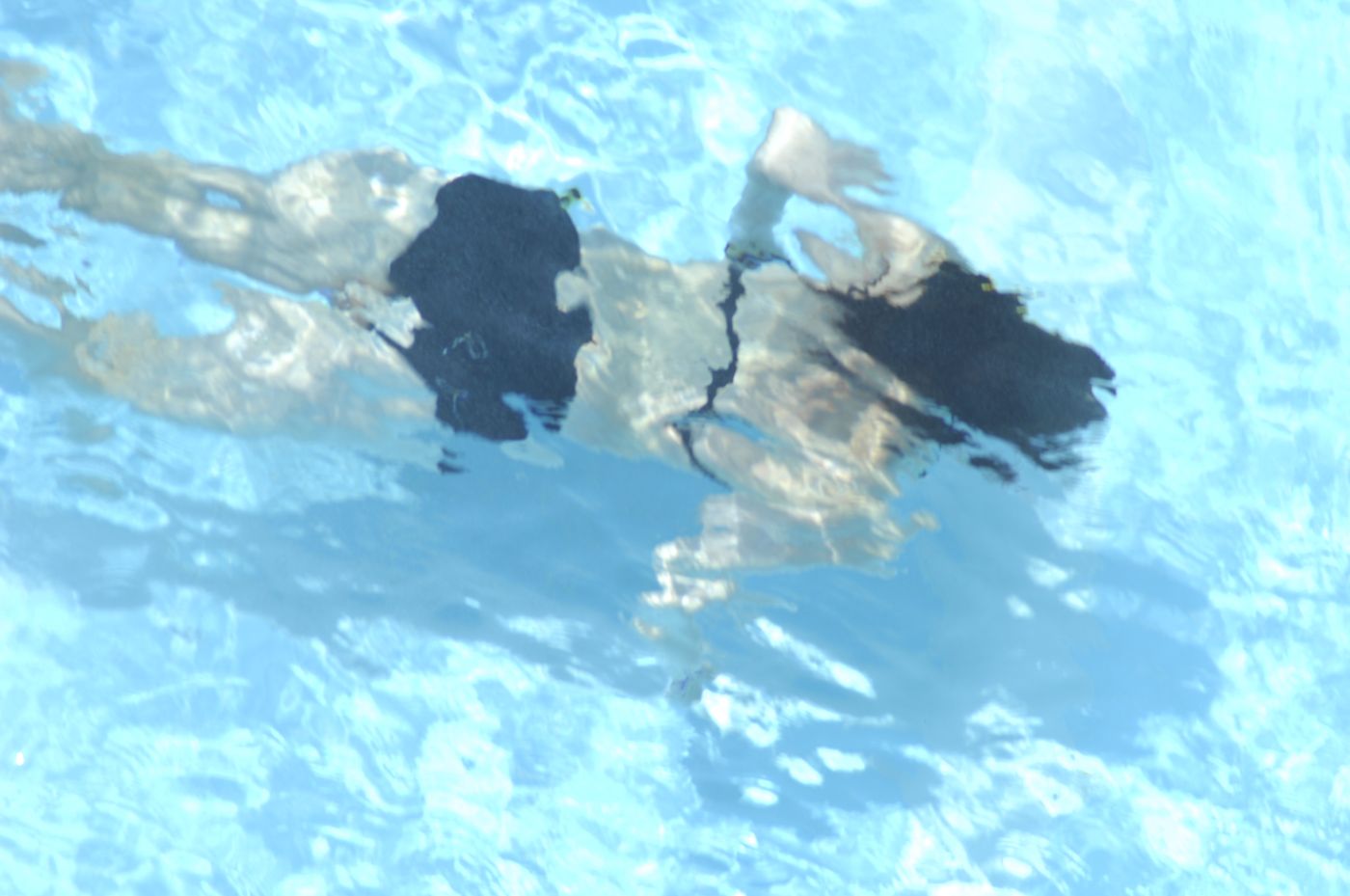 Sealine-Hotel-Pool-27