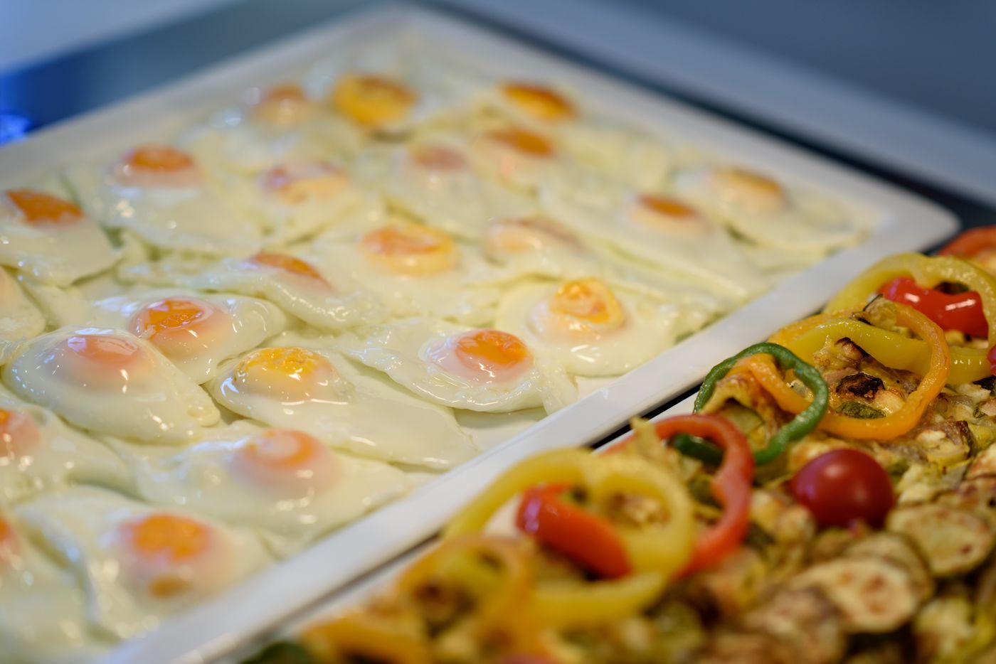 Veggera-Restaurant-57