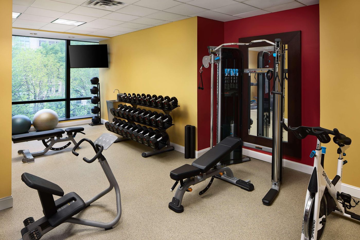 Millennium-Downtown-New-York-Sports-and-Entertainment-40