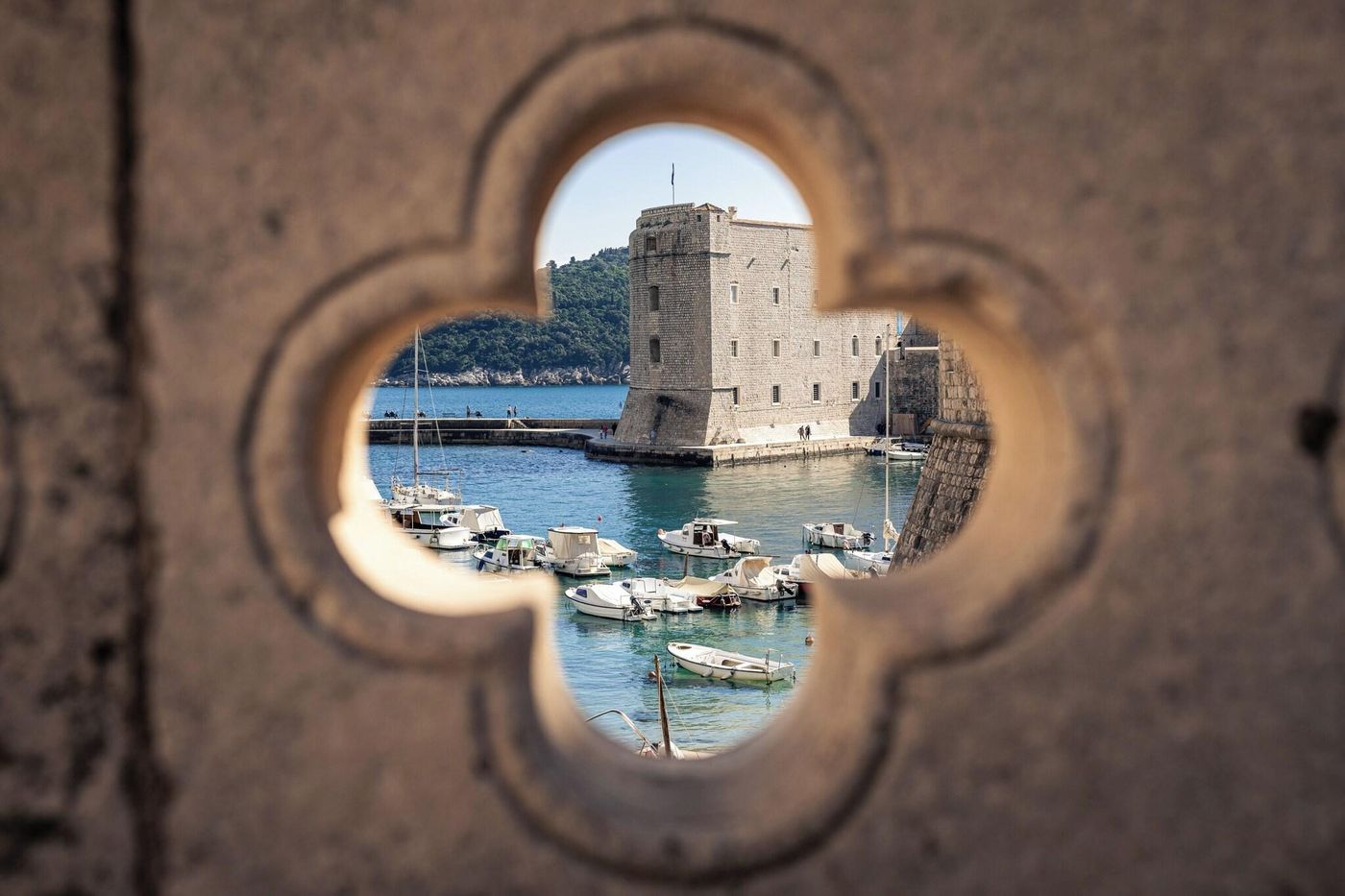 Olea-General-view-43