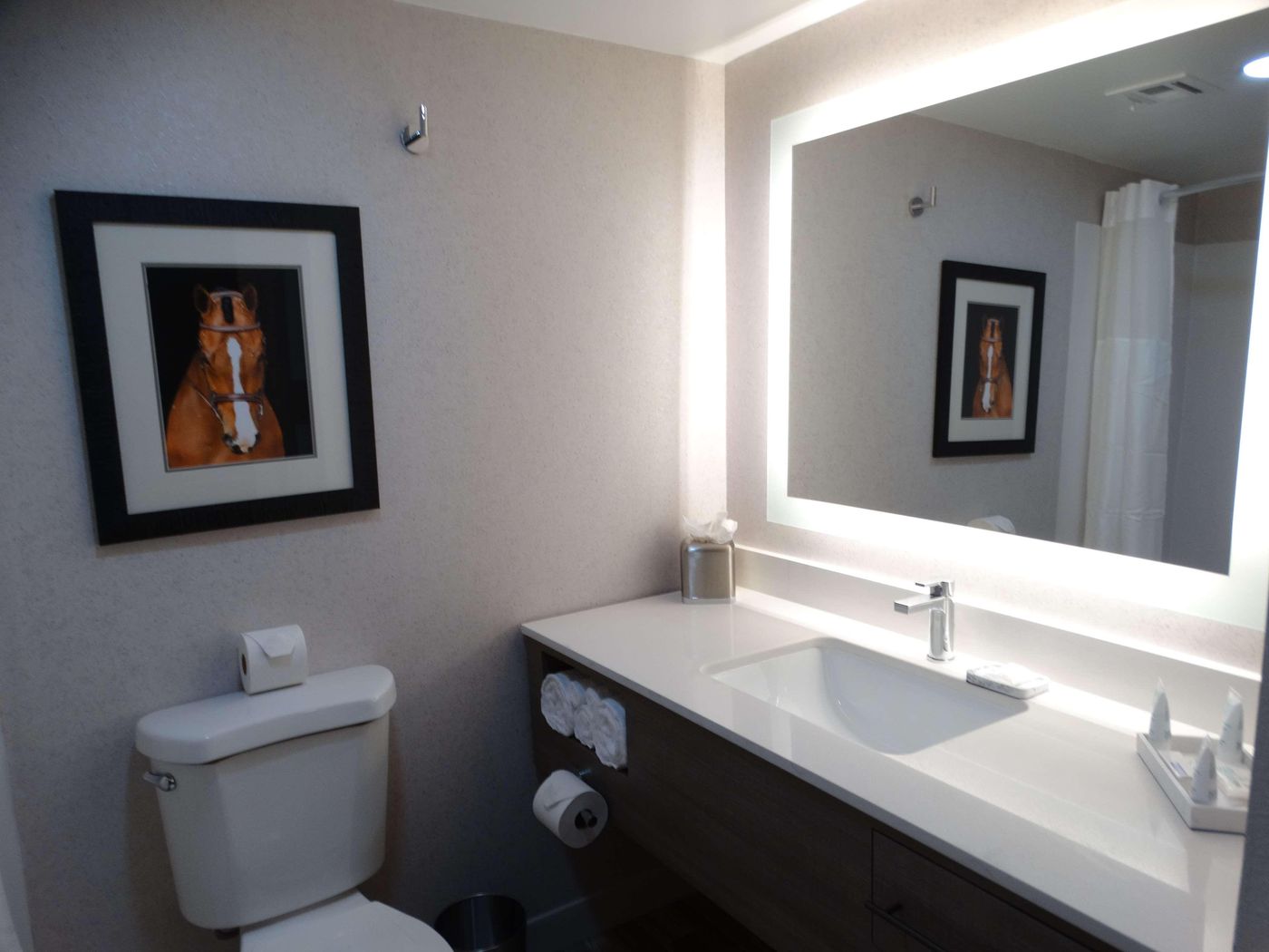 Aiden by Best Western Scottsdale North-United States-Scottsdale-General view-4