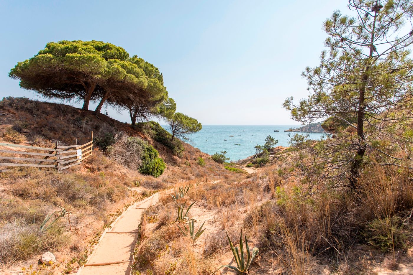 Alfagar-Village-General-view-61