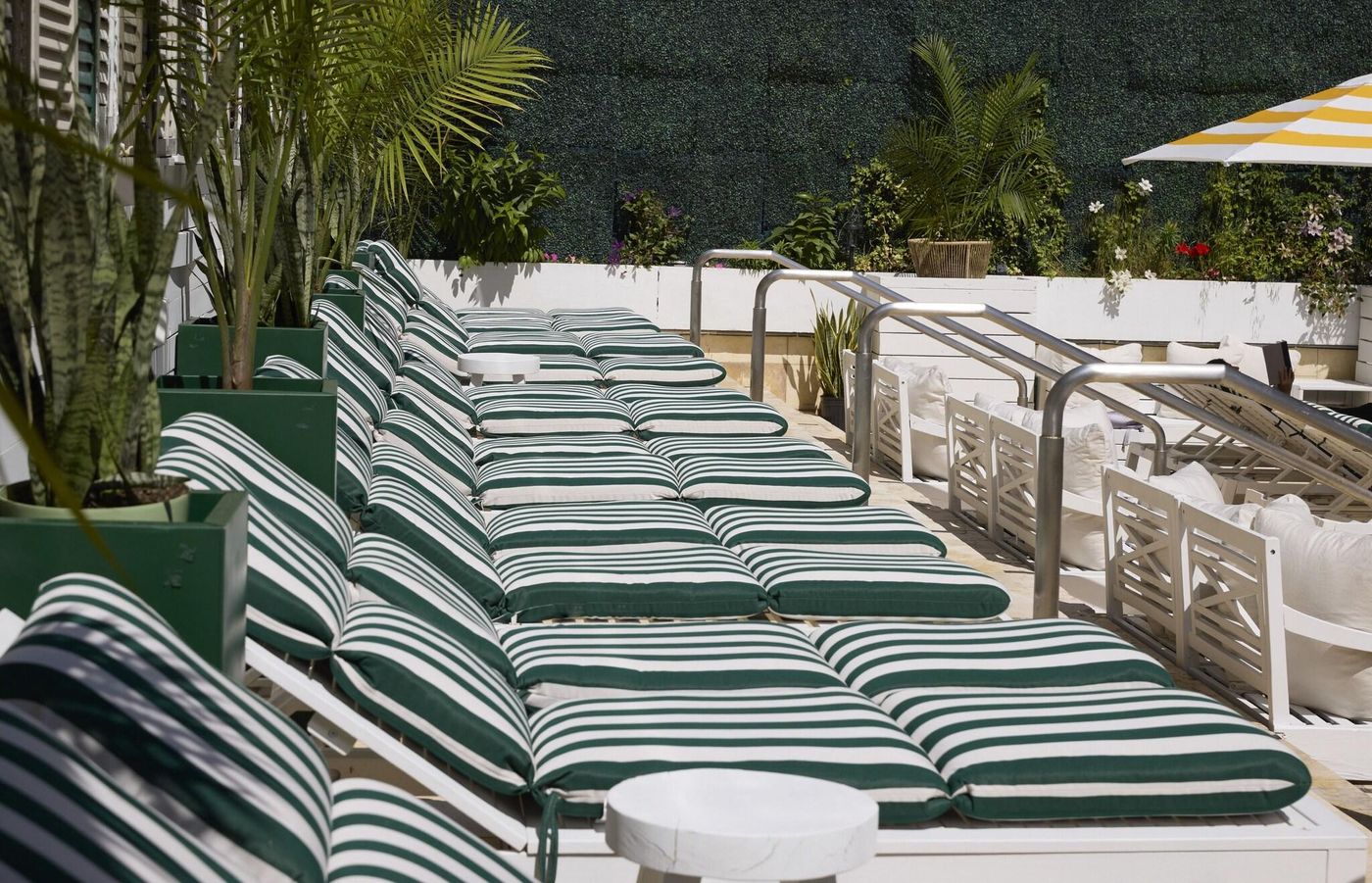 CODA-Williamsburg-Pool-48