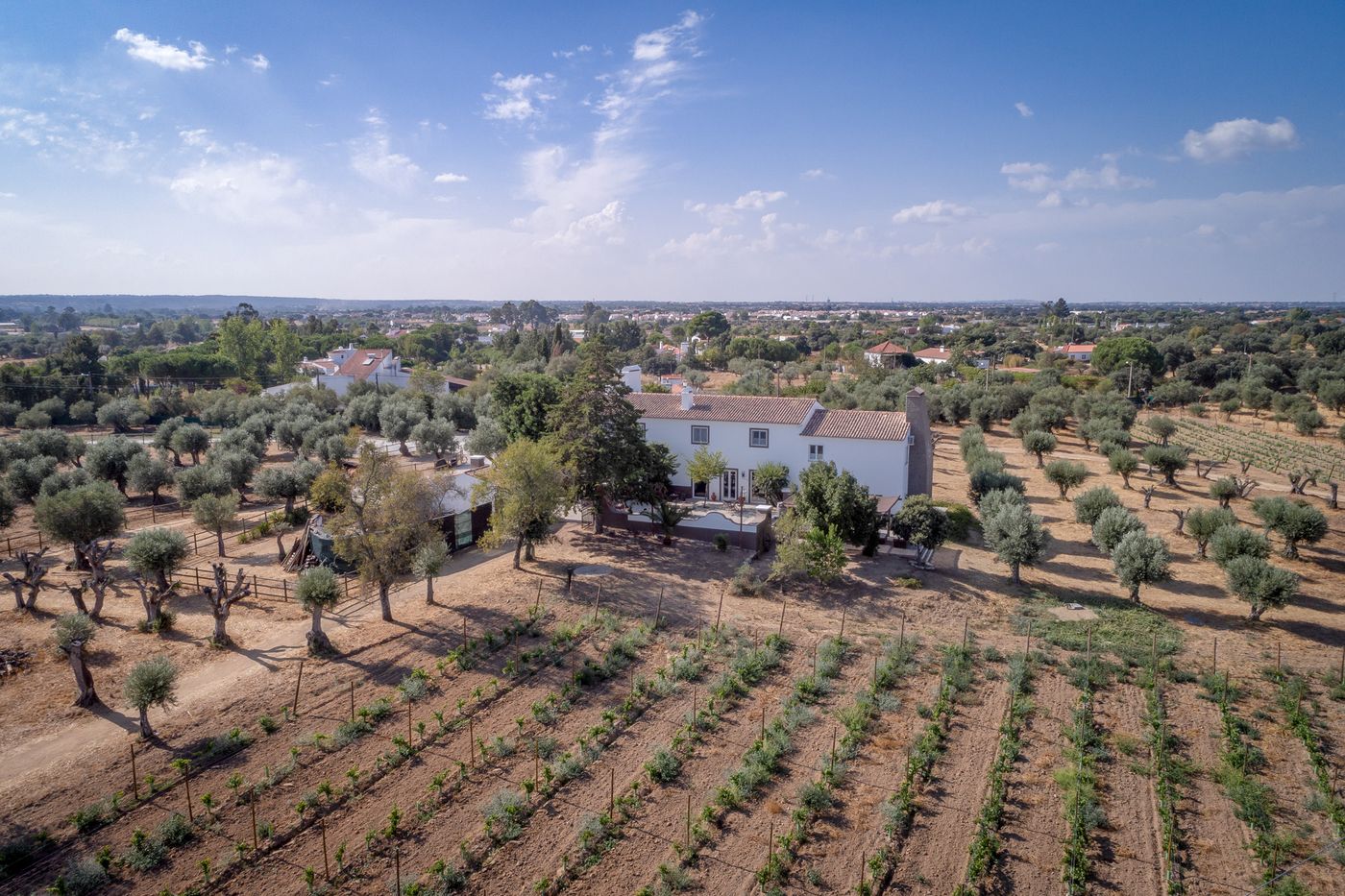 Casa-Do-Governador-General-view-59