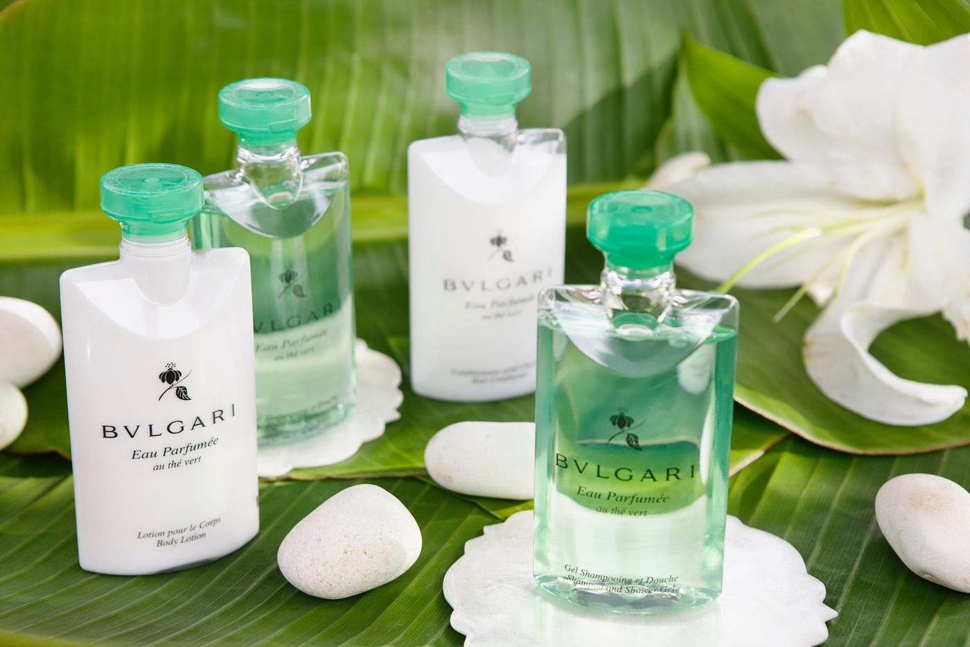 Beloved-Playa-Mujeres-Room-21