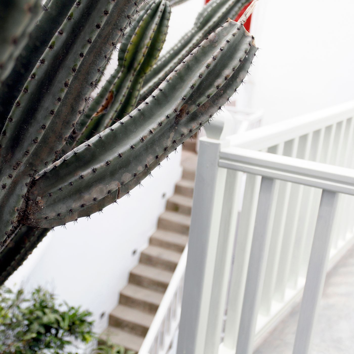 Fresh-Boutique-hotel-General-view-11