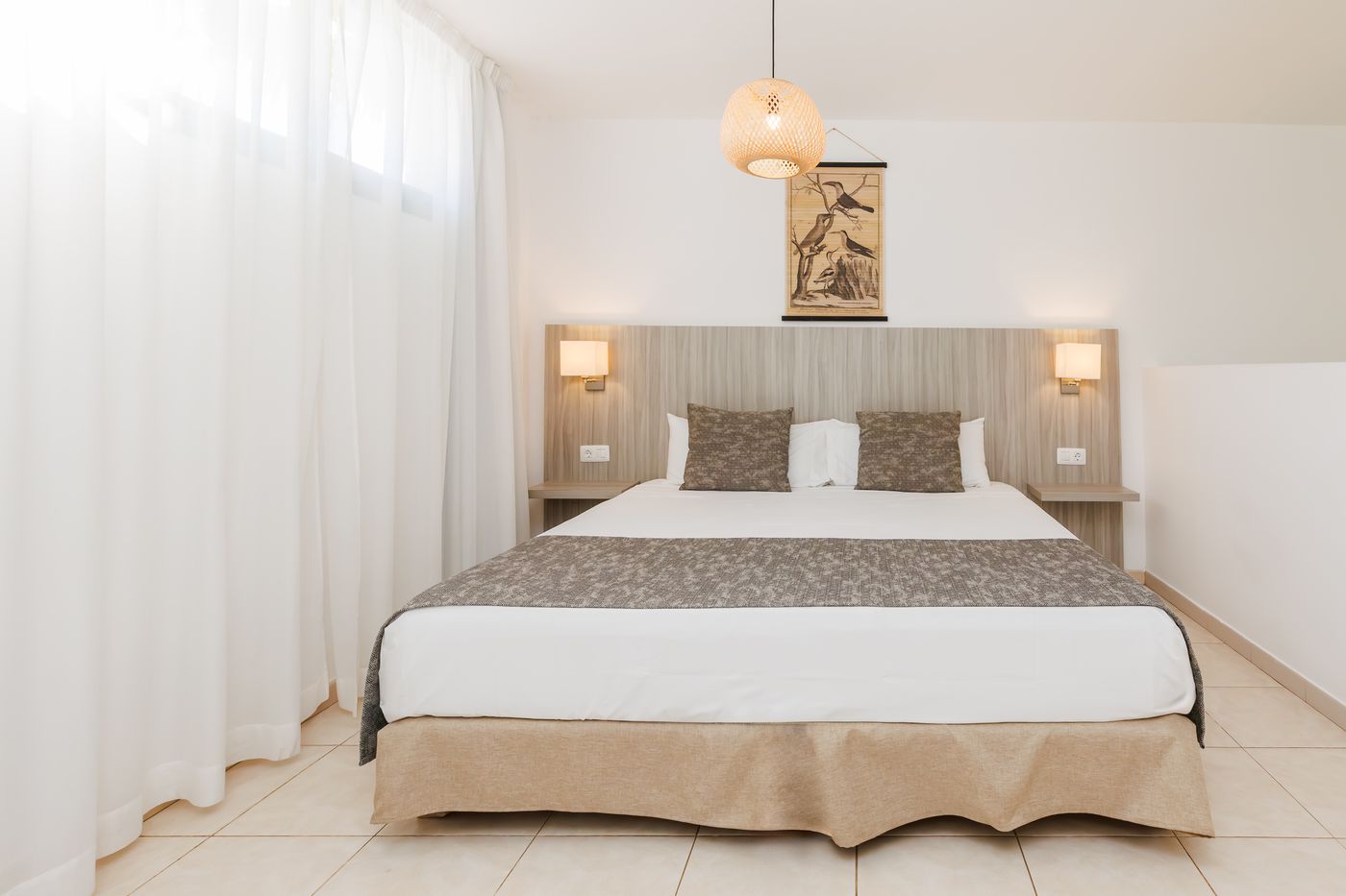 O7-Aloe-Corralejo-479 DBL.jpg