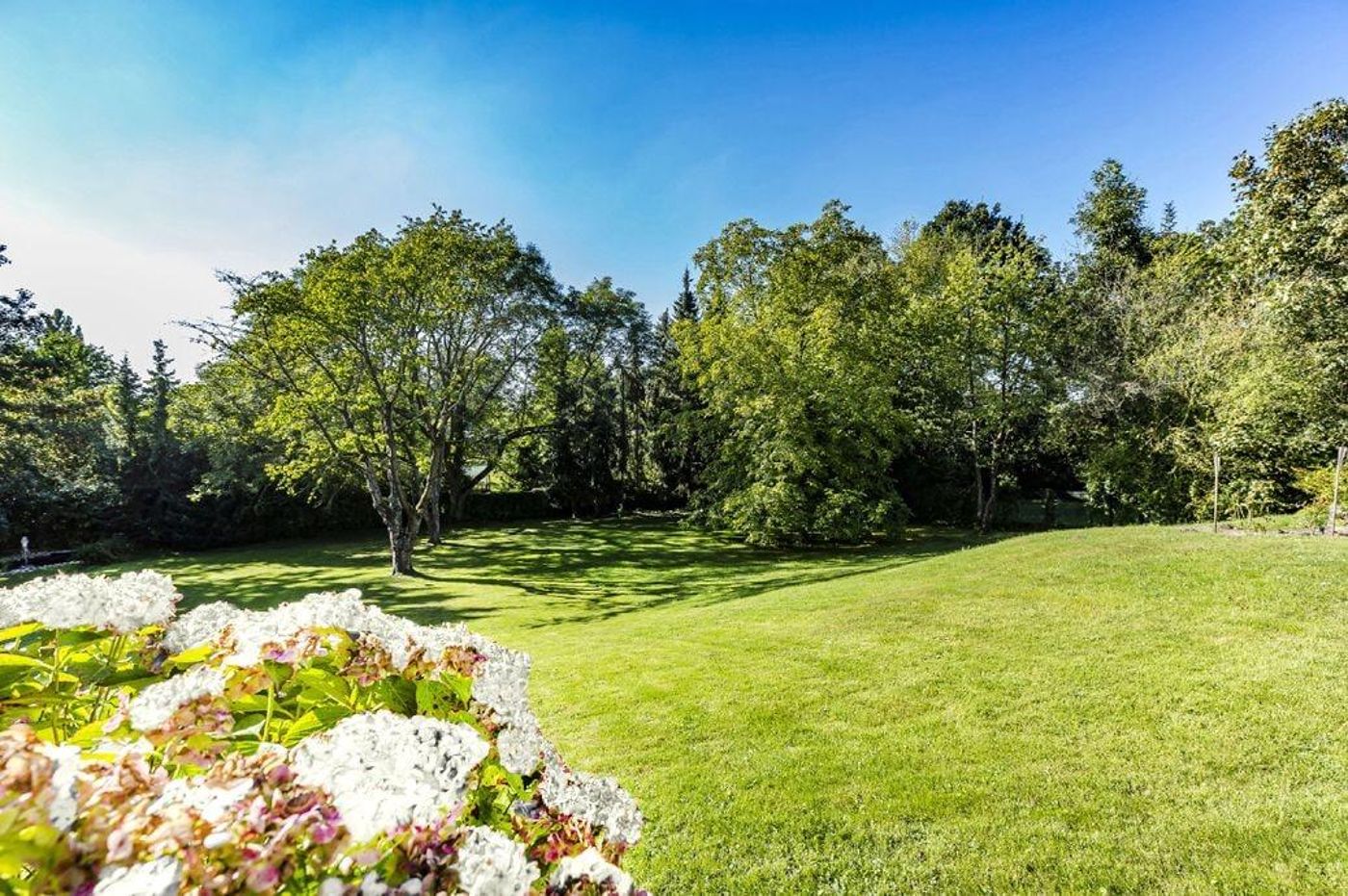 Hotel Villa Falkenberg - Germany - DÃ¼SSELDORF - Sports and Entertainment - 2