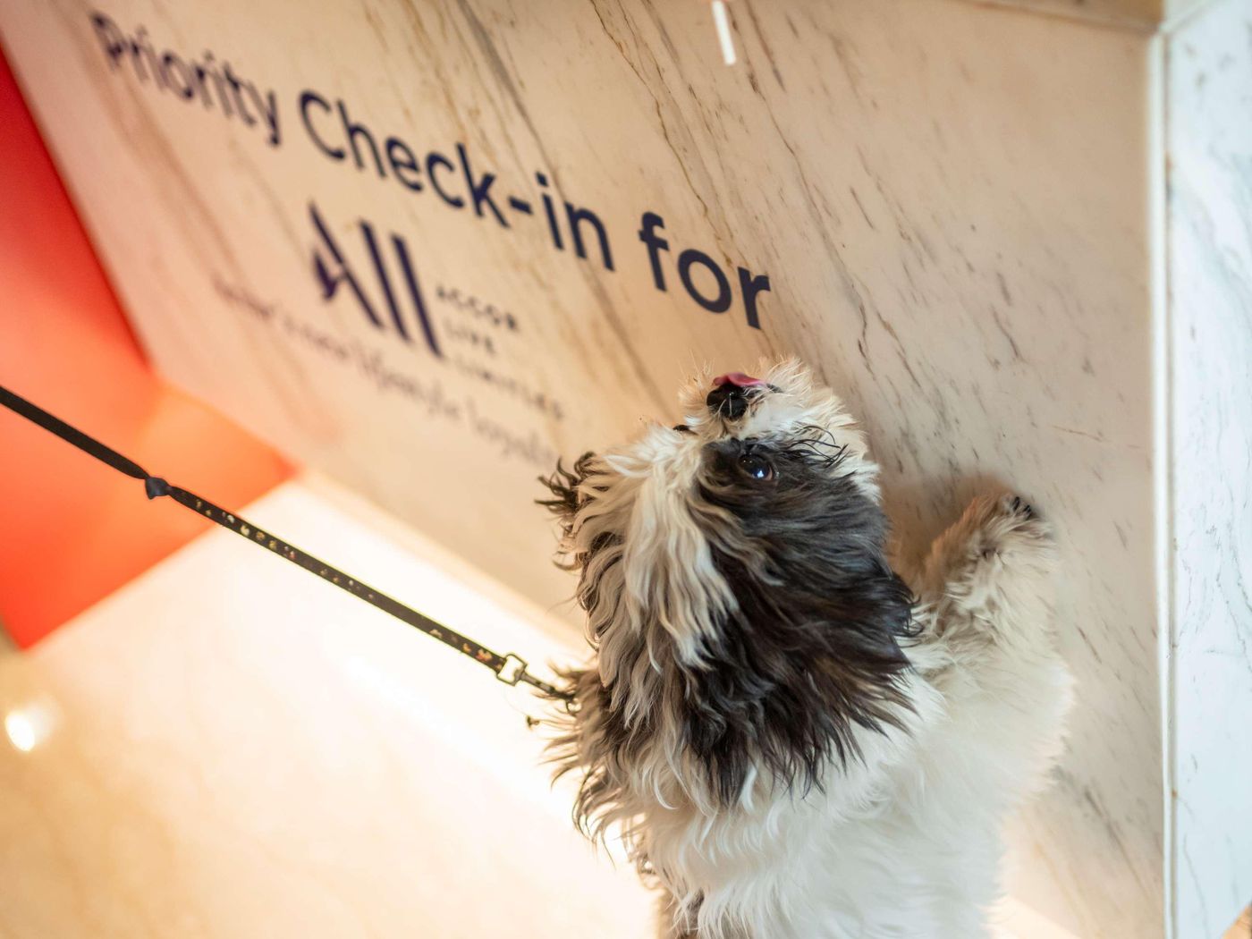 ibis-Villepinte-Parc-Expos-Sports-and-Entertainment-19