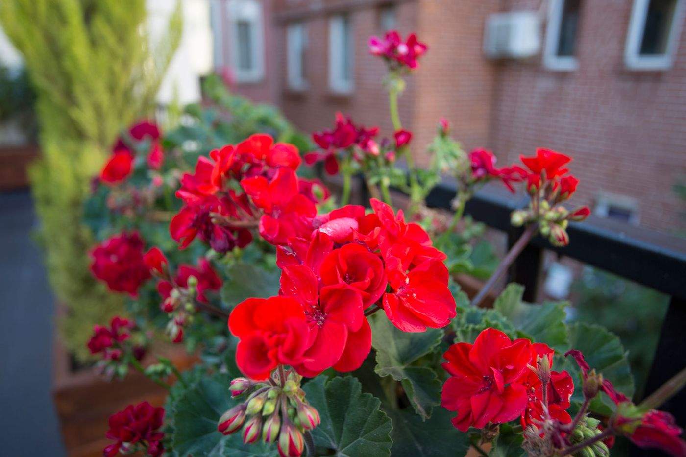 Long Stay Istanbul Residence-Turkey-TAKSIM /ISTANBUL-General view-2