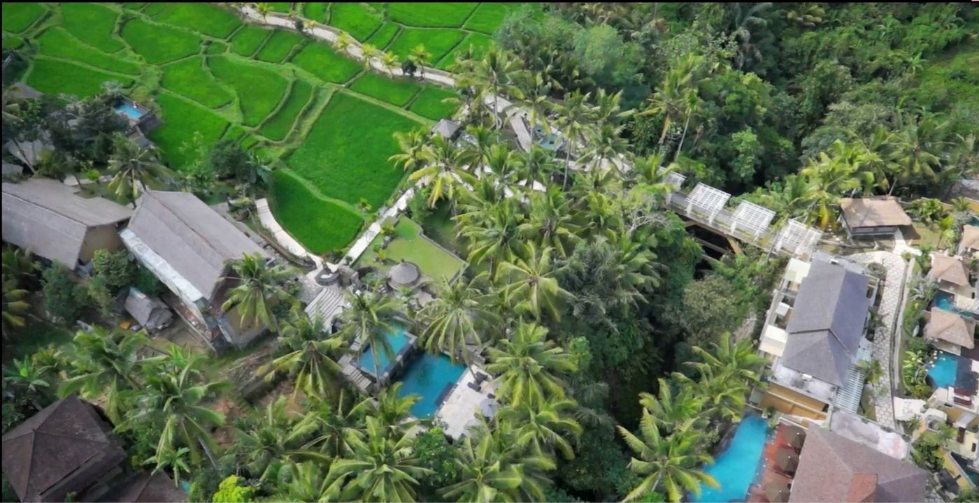 Wapa di Ume Ubud-Indonesia-UBUD-General view-9