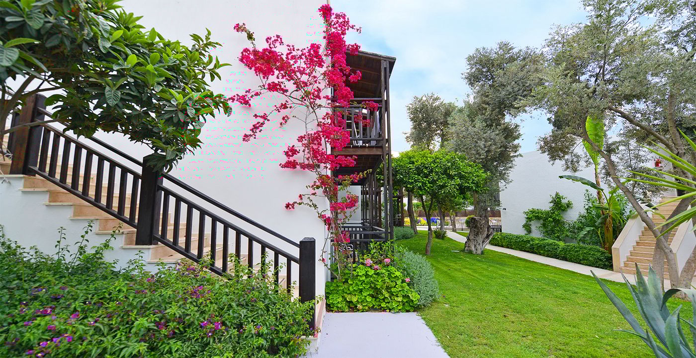 Bitez-Garden-Life-General-view-15