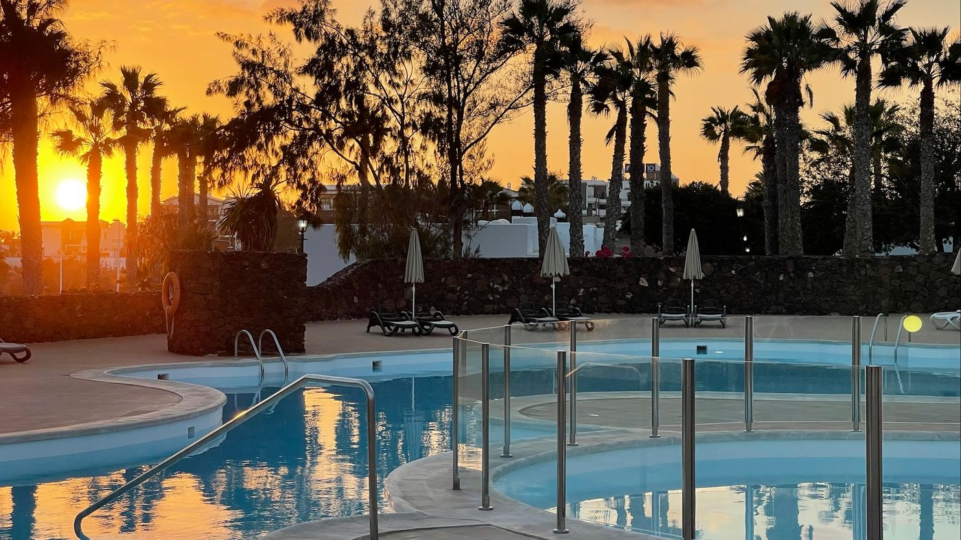 Palmeras-Garden-General-view-4