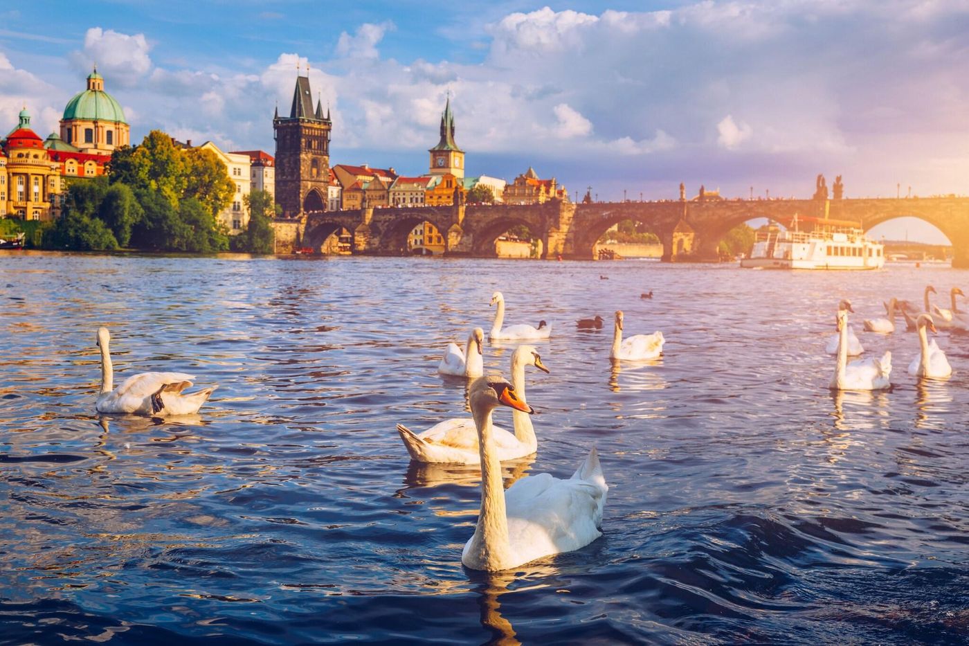 Boutique-Apartments-White-Swan-General-view-89