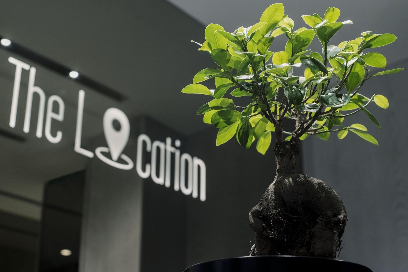 The Location Hotel-Serbia-Belgrade-General view-4