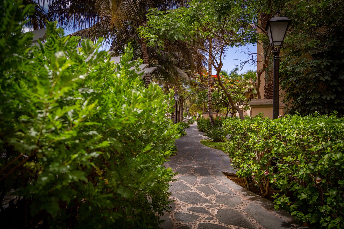 Palm-Oasis-Maspalomas-General-view-33