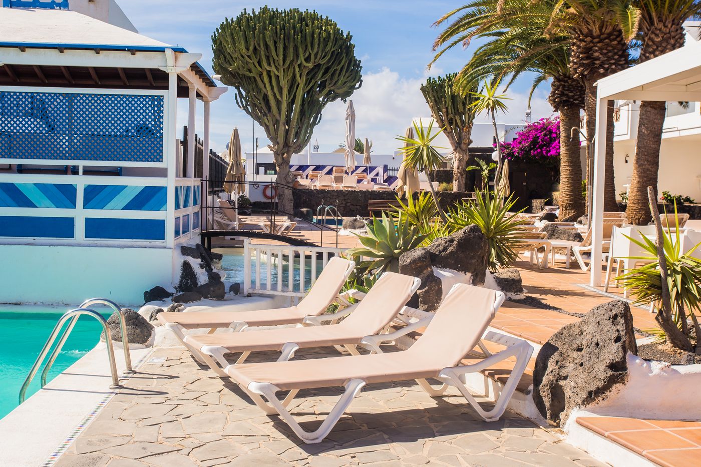 Los-Tulipanes-General-view-11