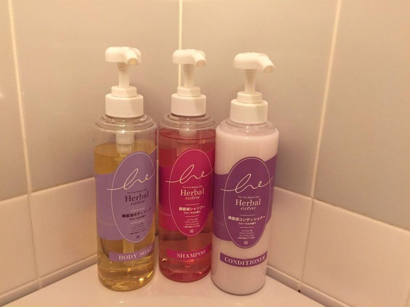 Sotetsu Fresa Inn Tokyo-Akasaka-Japan-Tokyo-General view-1