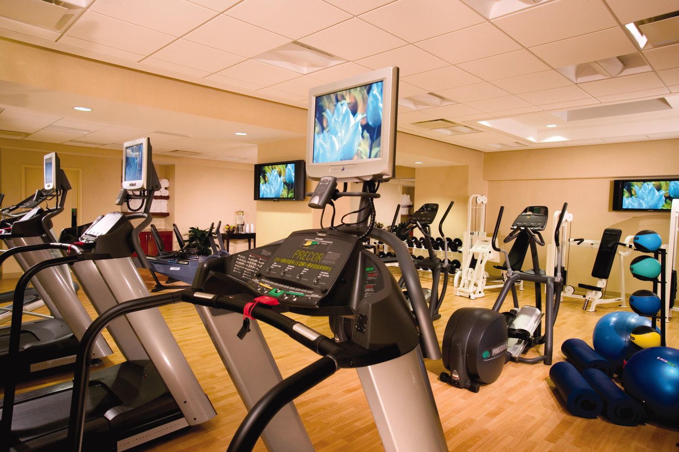 Omni Chicago Hotel - United States - CHICAGO - Sports and Entertainment - 8