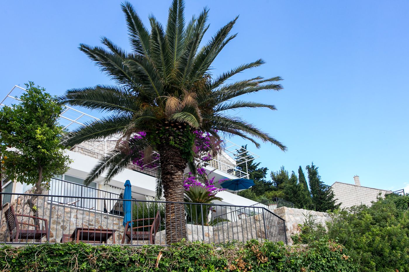 Apartments Villa Mirjana-Croatia-Mlini-General view-1