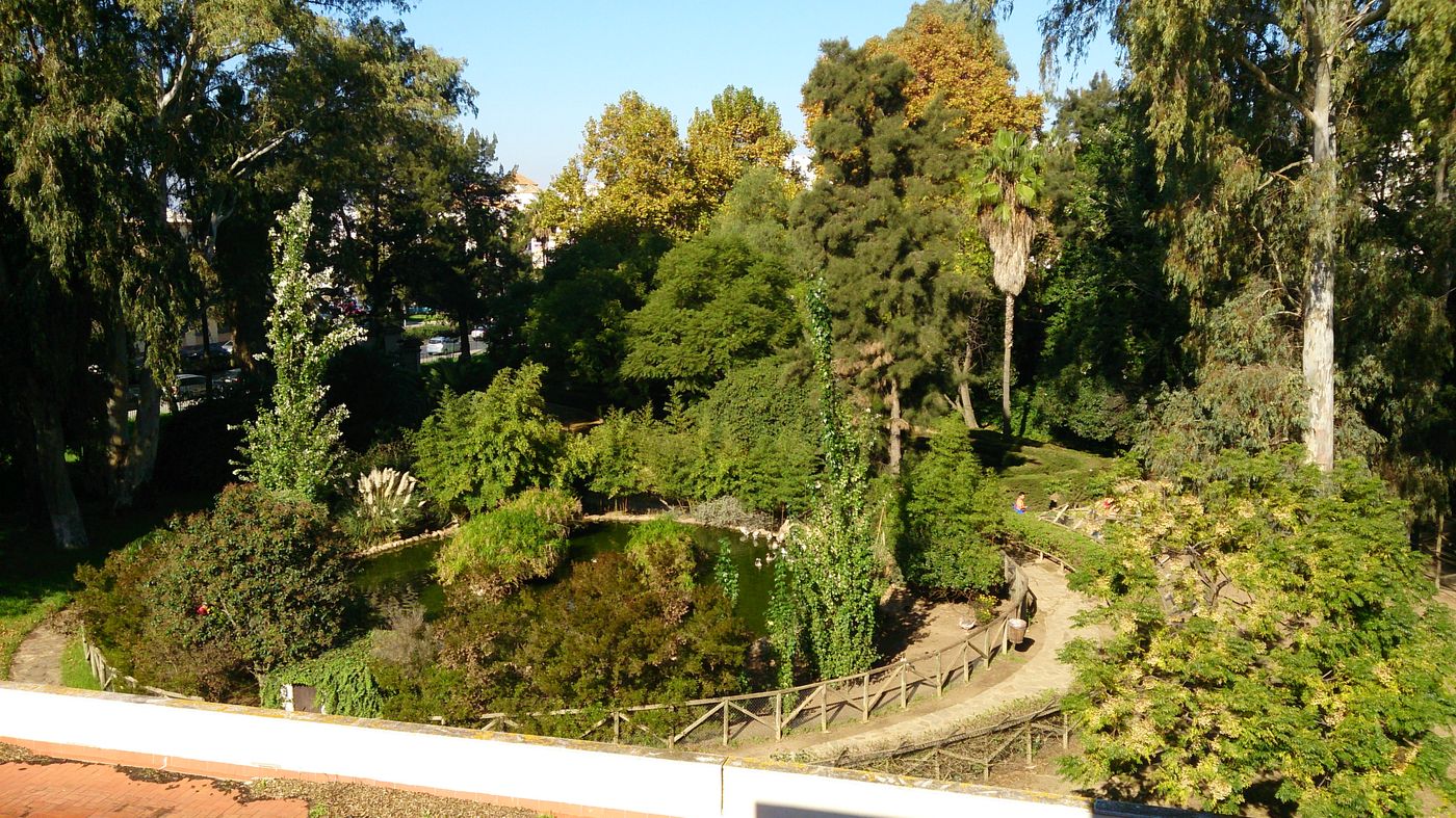 Ayamonte-Center-General-view-3