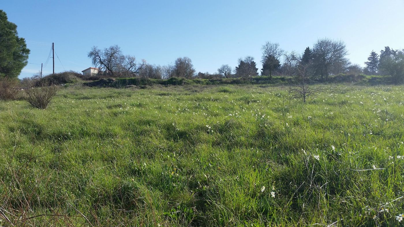 Akamas-Health-Farm-And-Spa-General-view-46