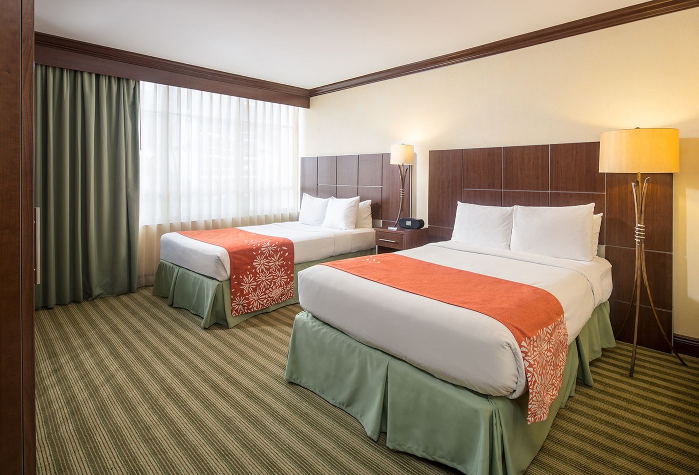 Newport Beachside Hotel & Resort - United States - SUNNY ISLES BEACH - Room - 9