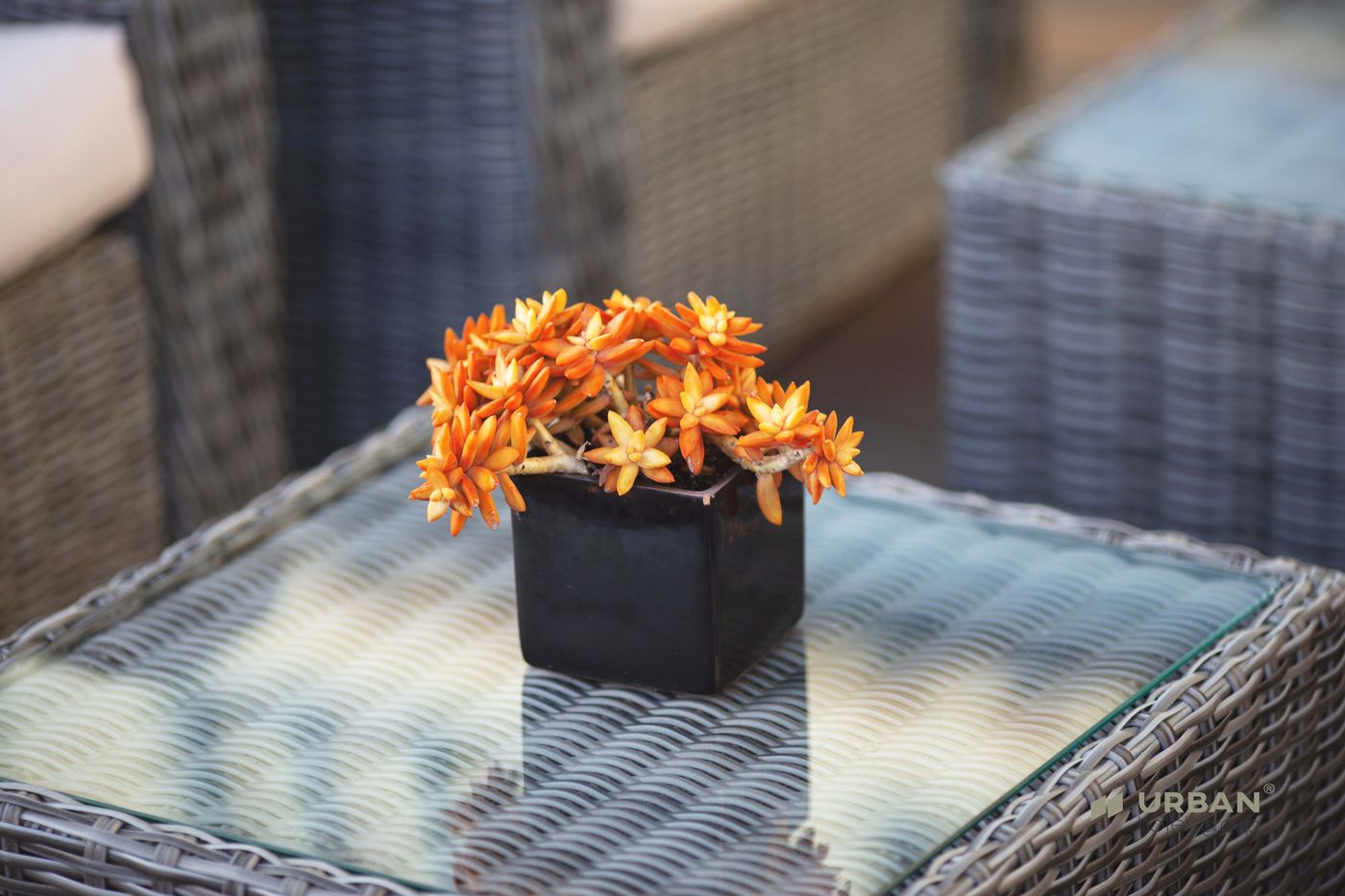 Hotel-Santa-Eulalia-Praia-Pool-70