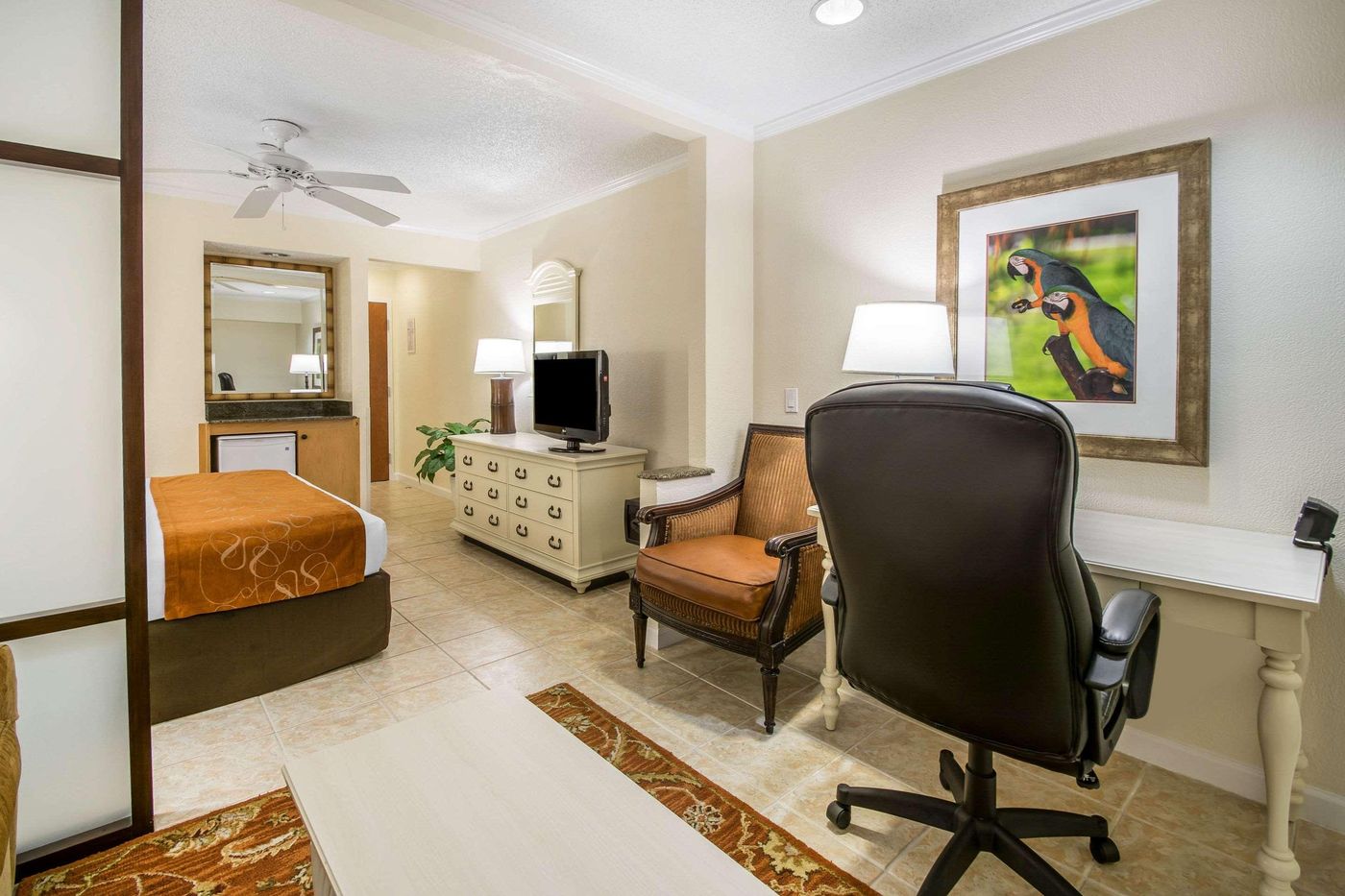 Comfort-Suites-Paradise-Island-Room-29
