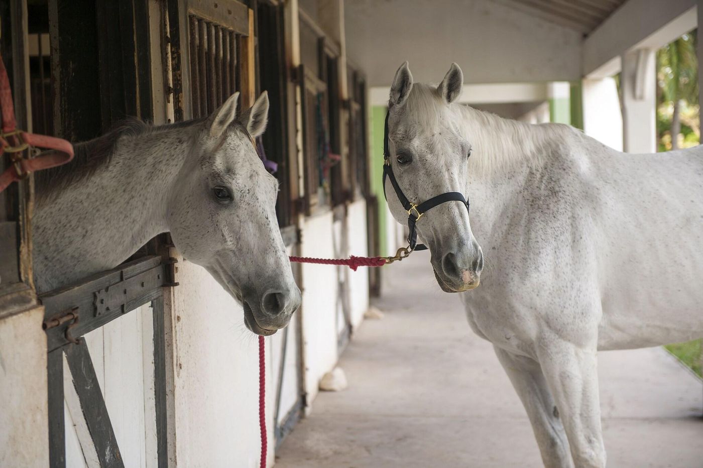 Half-Moon-General-view-80