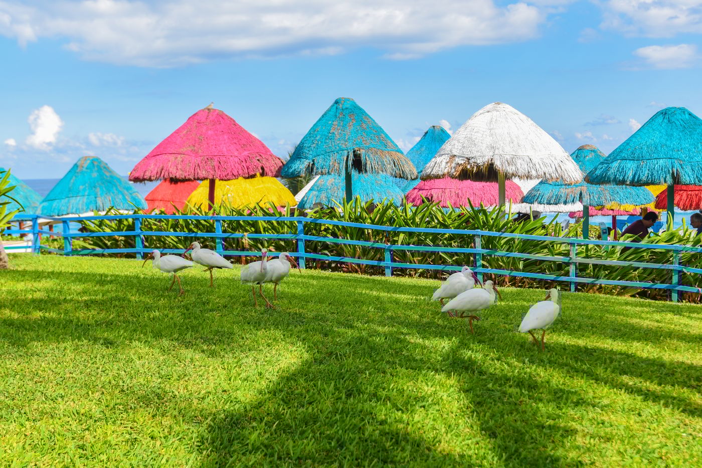 Grand-Oasis-Cancun-General-view-16