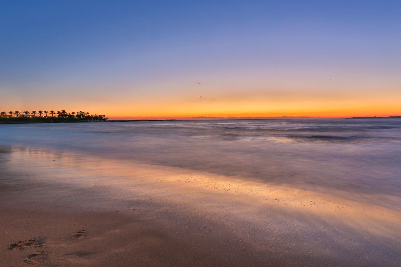 Lonicera--World-Beach-66