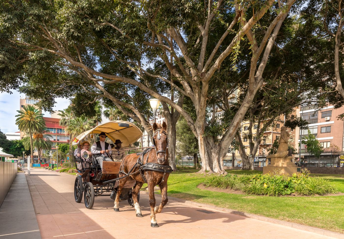 Blanca-Paloma-General-view-1